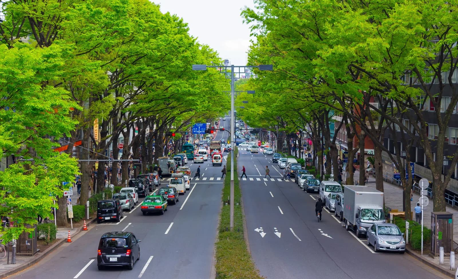 Omotesando street in Tokyo